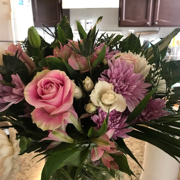 Meet your Posher, Ava - Picture 1 of 1